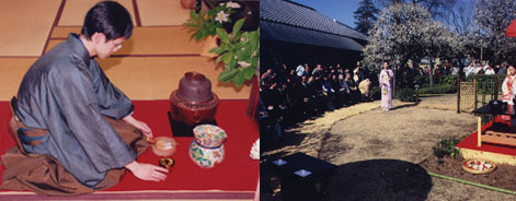 茶道会員募集